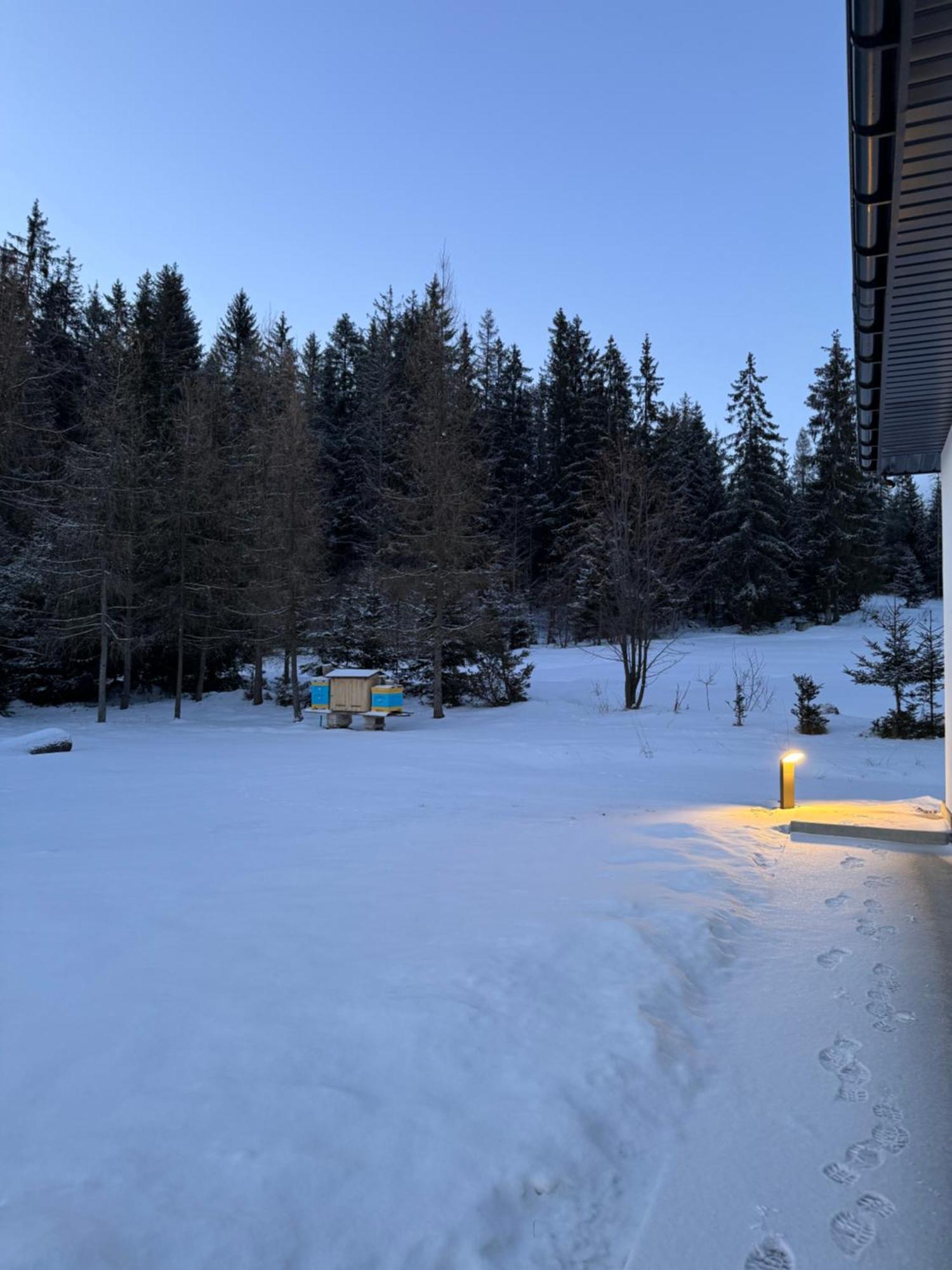 Orawska Knieja 2.0 Villa Lipnica Wielka Exterior foto